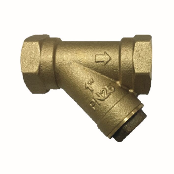 Product Photo - W-YG11-25TQ-BSPT/NPT