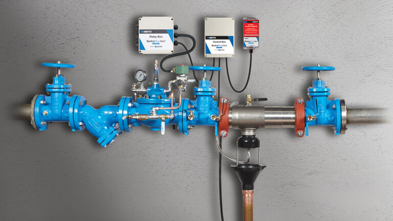 Backflow preventer with sentry plus installed